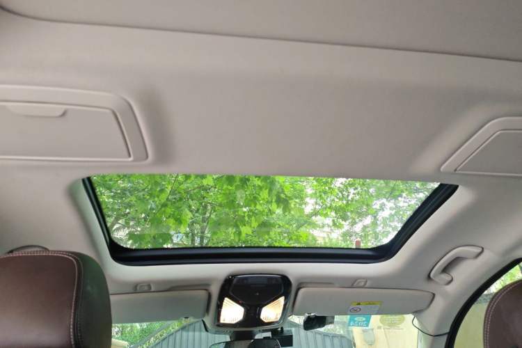 Used BMW 5 Series New Energy 2019 530Le Luxury Package Headliner