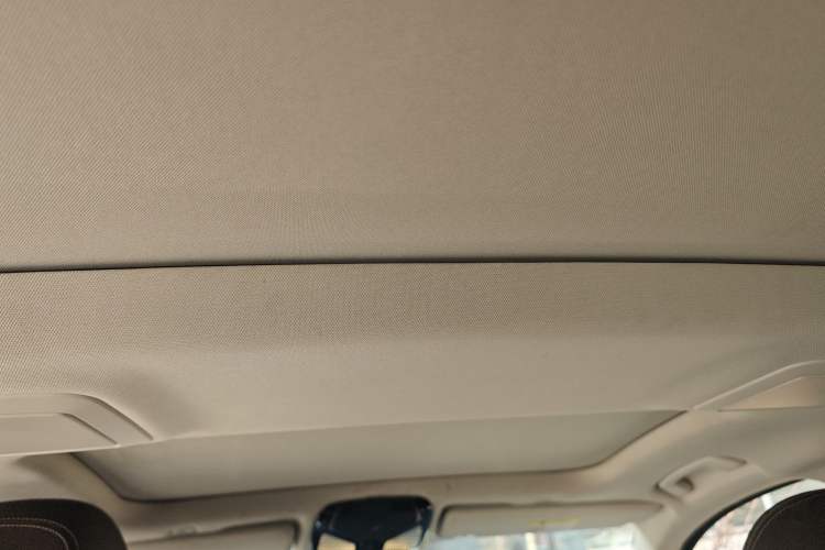 Used BMW 5 Series New Energy 2019 530Le Luxury Package Headliner