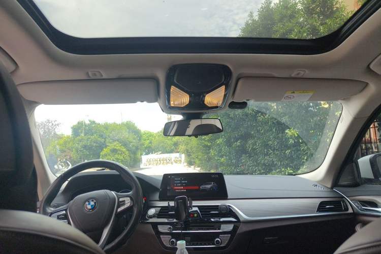 Used BMW 5 Series New Energy 2019 530Le Pioneer Edition Headliner
