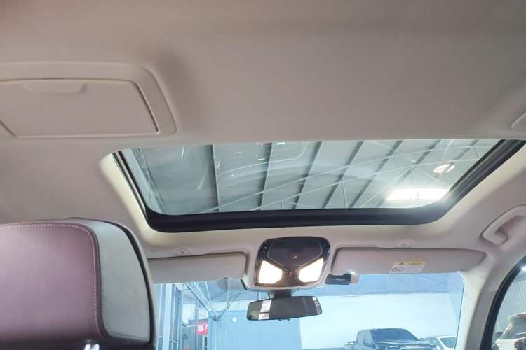 Used BMW 5 Series New Energy 2019 530Le Luxury Package Headliner