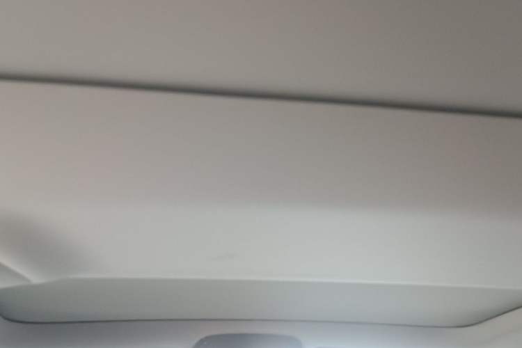 Used BMW 5 Series New Energy 2019 530Le Luxury Package Headliner