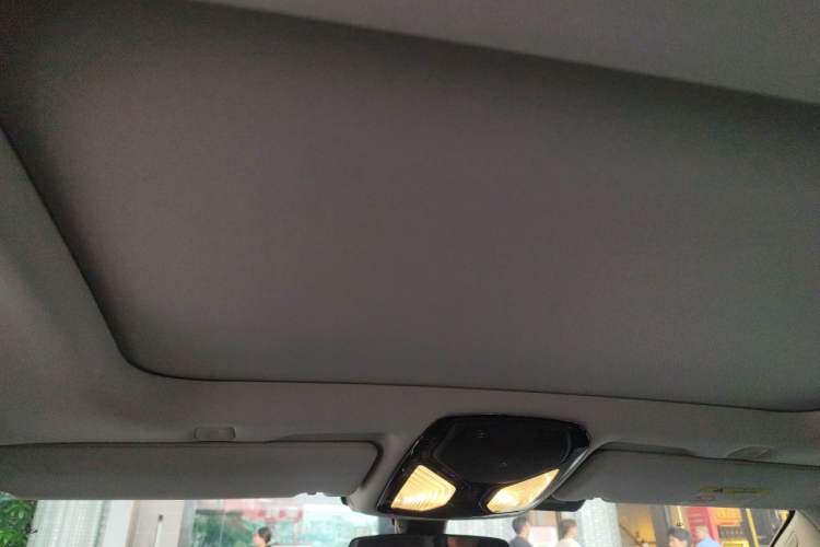Used BMW 5 Series New Energy 2019 530Le Luxury Package Headliner