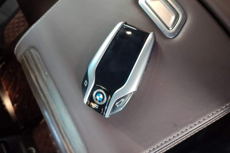 Used BMW 5 Series New Energy 2019 530Le Luxury Package Interior 1