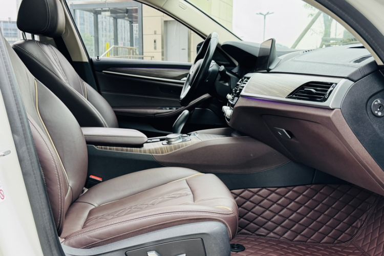 Used BMW 5 Series New Energy 2019 Updated Version 530Le Luxury Package Interior 1