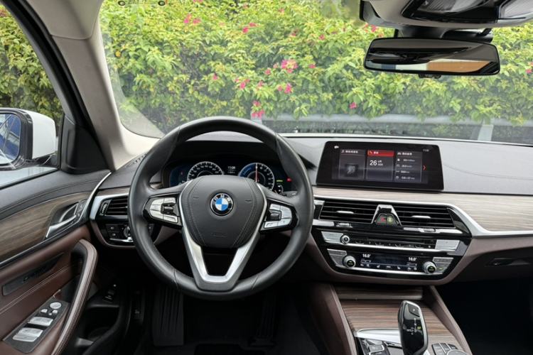 Used BMW 5 Series New Energy 2019 530Le Luxury Package Interior 10