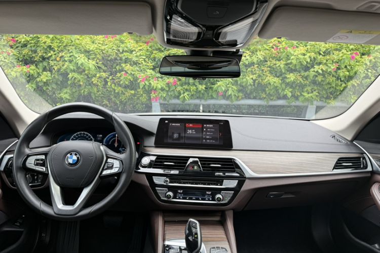 Used BMW 5 Series New Energy 2019 530Le Luxury Package Interior 2