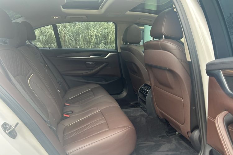 Used BMW 5 Series New Energy 2019 Updated Version 530Le Luxury Package Interior 3