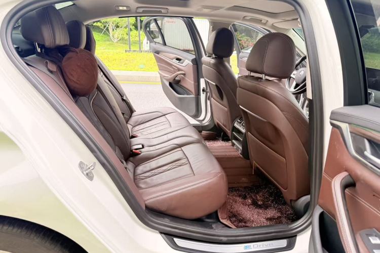 Used BMW 5 Series New Energy 2019 Updated Version 530Le Luxury Package Interior 5