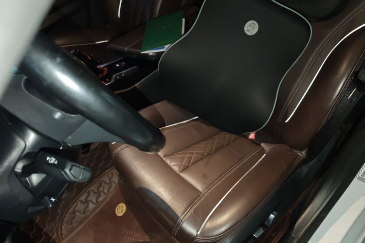 Used BMW 5 Series New Energy 2019 530Le Luxury Package Left Front Seat