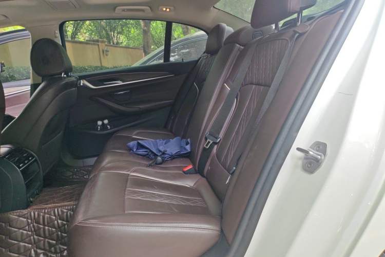 Used BMW 5 Series New Energy 2019 530Le Luxury Package Left Rear Seat
