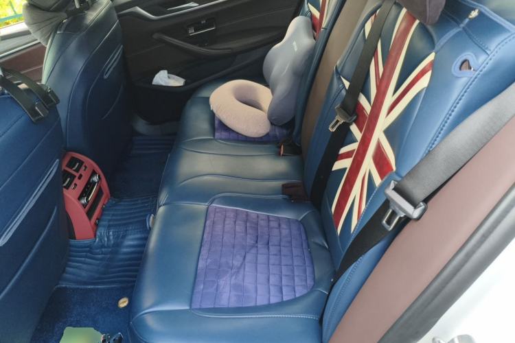 Used BMW 5 Series New Energy 2019 530Le Luxury Package Left Rear Seat