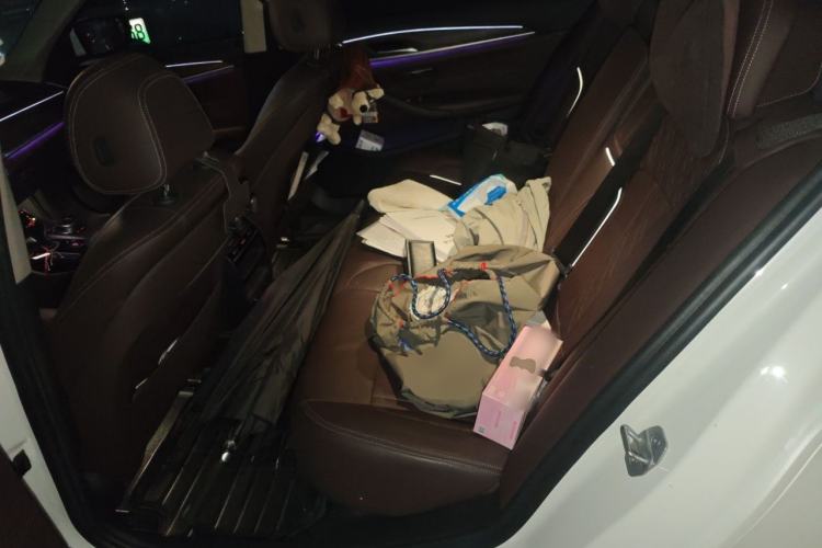 Used BMW 5 Series New Energy 2019 Updated Version 530Le Luxury Package Left Rear Seat