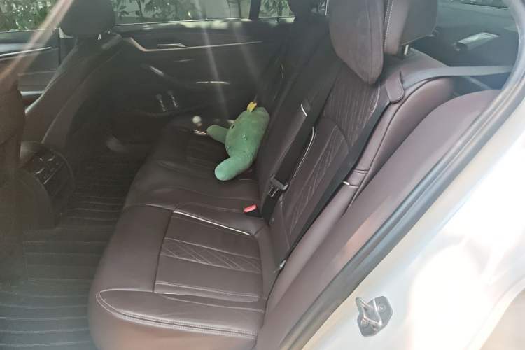 Used BMW 5 Series New Energy 2019 530Le Luxury Package Left Rear Seat