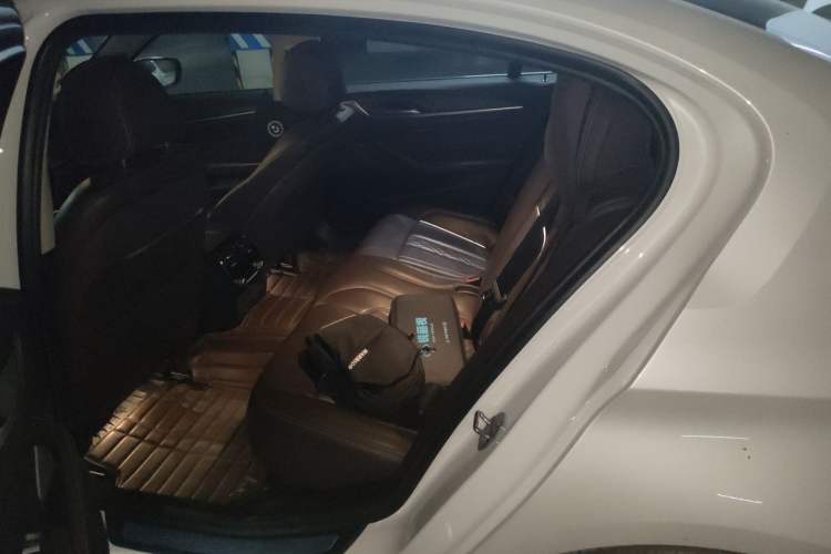 Used BMW 5 Series New Energy 2019 530Le Luxury Package Left Rear Seat
