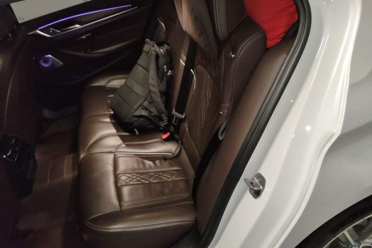 Used BMW 5 Series New Energy 2019 530Le Luxury Package Left Rear Seat