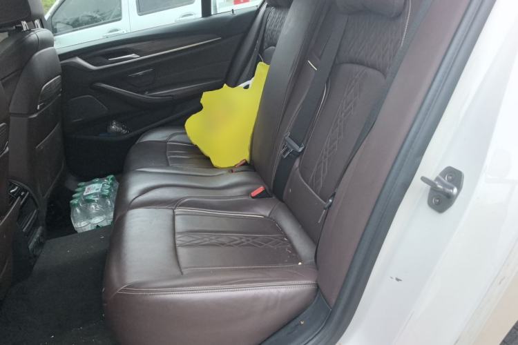 Used BMW 5 Series New Energy 2019 530Le Luxury Package Left Rear Seat