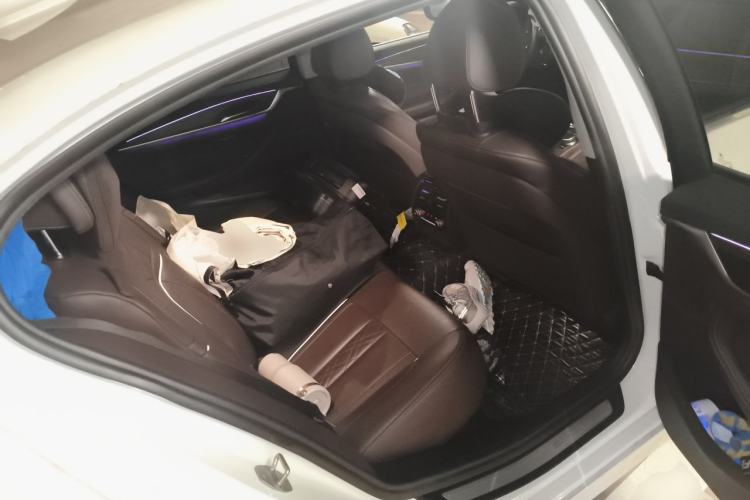 Used BMW 5 Series New Energy 2019 530Le Luxury Package Left Rear Seat