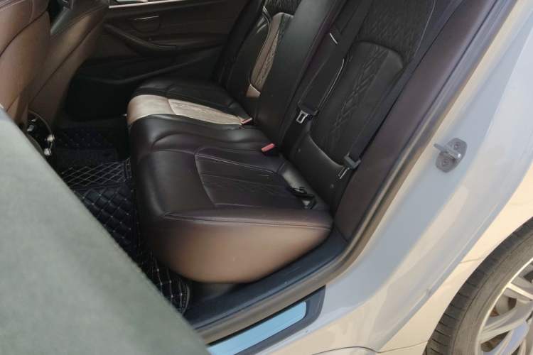 Used BMW 5 Series New Energy 2019 530Le Luxury Package Left Rear Seat