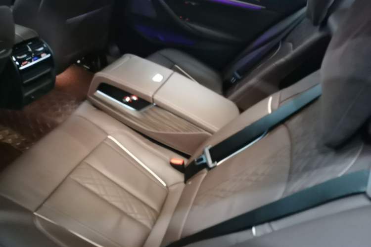 Used BMW 5 Series New Energy 2019 Updated 530Le Pioneer Edition Left Rear Seat
