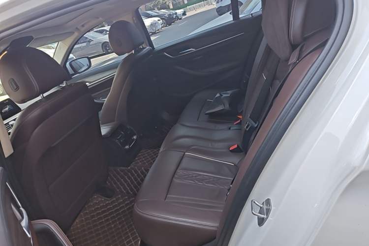 Used BMW 5 Series New Energy 2019 530Le Luxury Package Left Rear Seat