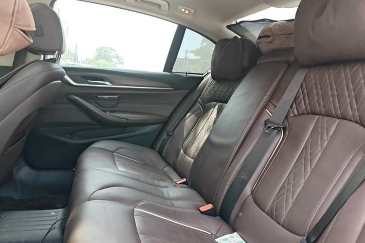 Used BMW 5 Series New Energy 2019 530Le Luxury Package Left Rear Seat