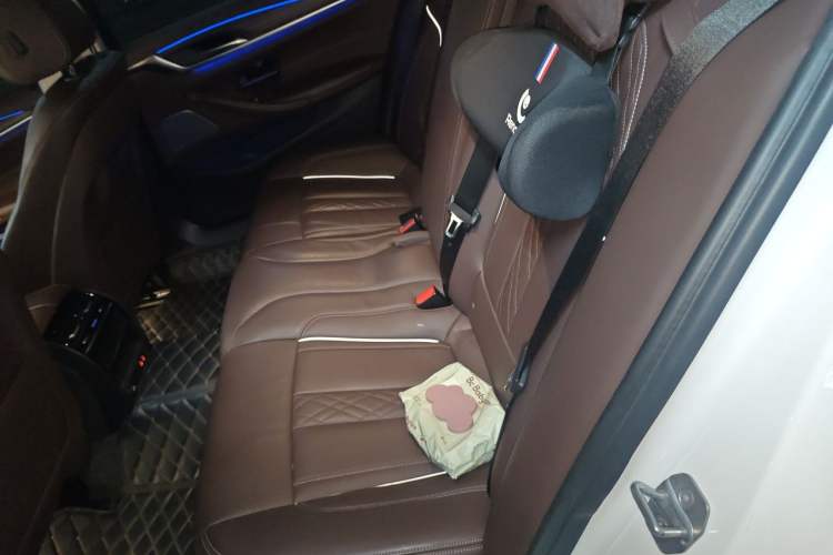 Used BMW 5 Series New Energy 2019 Updated Version 530Le Luxury Package Left Rear Seat