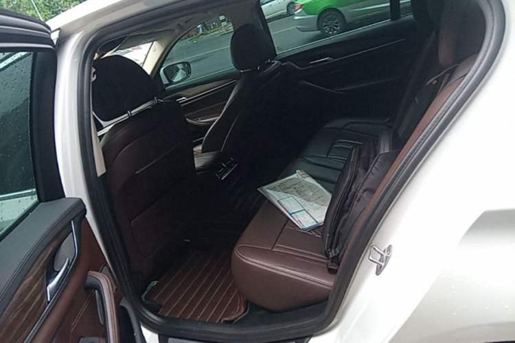 Used BMW 5 Series New Energy 2019 Updated Version 530Le Luxury Package Left Rear Seat