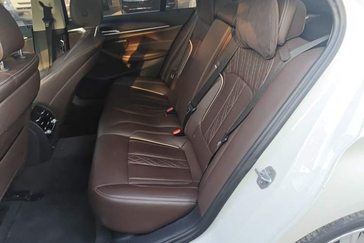 Used BMW 5 Series New Energy 2019 530Le Luxury Package Left Rear Seat