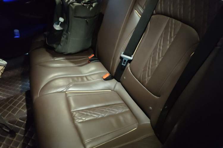Used BMW 5 Series New Energy 2019 530Le Luxury Package Left Rear Seat
