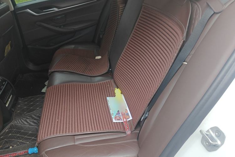 Used BMW 5 Series New Energy 2019 Updated Version 530Le Luxury Package Left Rear Seat