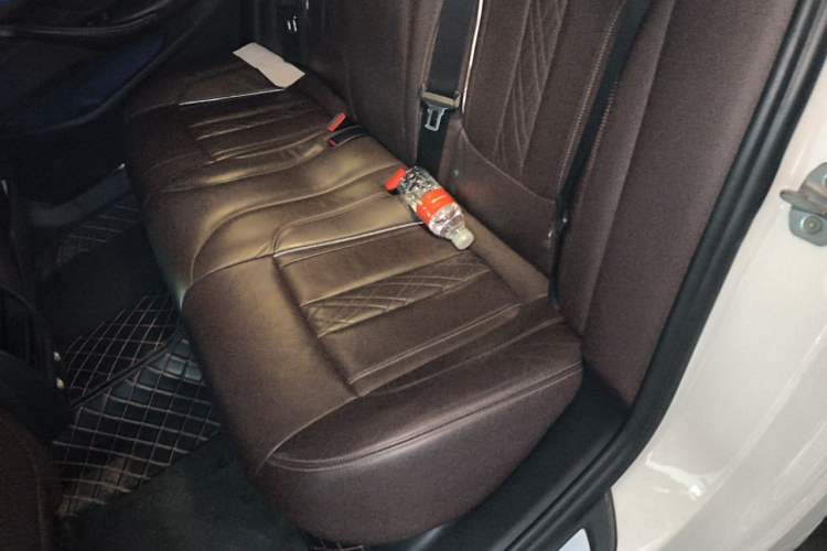 Used BMW 5 Series New Energy 2019 530Le Luxury Package Left Rear Seat