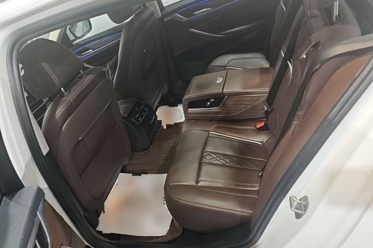 Used BMW 5 Series New Energy 2019 Updated Version 530Le Luxury Package Left Rear Seat