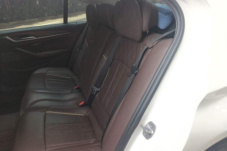 Used BMW 5 Series New Energy 2019 530Le Pioneer Edition Left Rear Seat