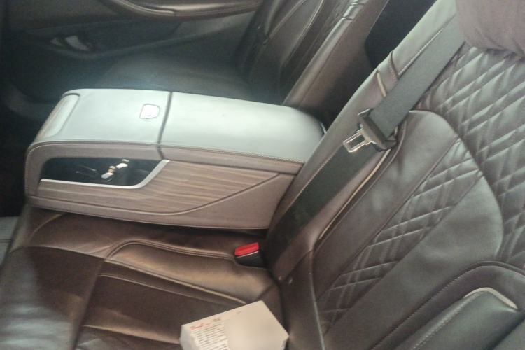 Used BMW 5 Series New Energy 2019 530Le Luxury Package Left Rear Seat