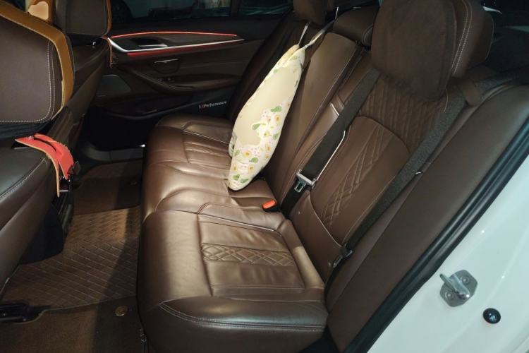 Used BMW 5 Series New Energy 2019 530Le Pioneer Edition Left Rear Seat