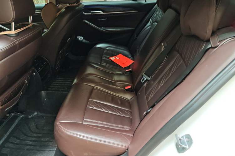 Used BMW 5 Series New Energy 2019 530Le Luxury Package Left Rear Seat