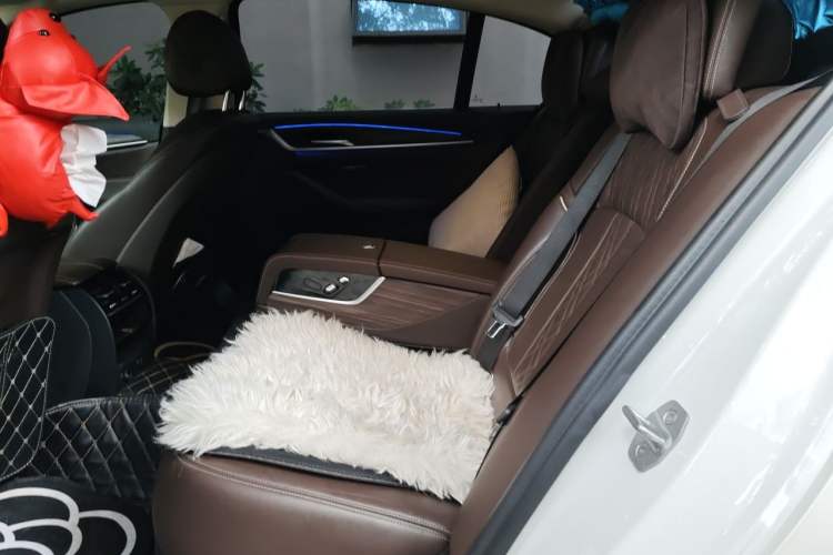 Used BMW 5 Series New Energy 2019 Updated Version 530Le Luxury Package Left Rear Seat
