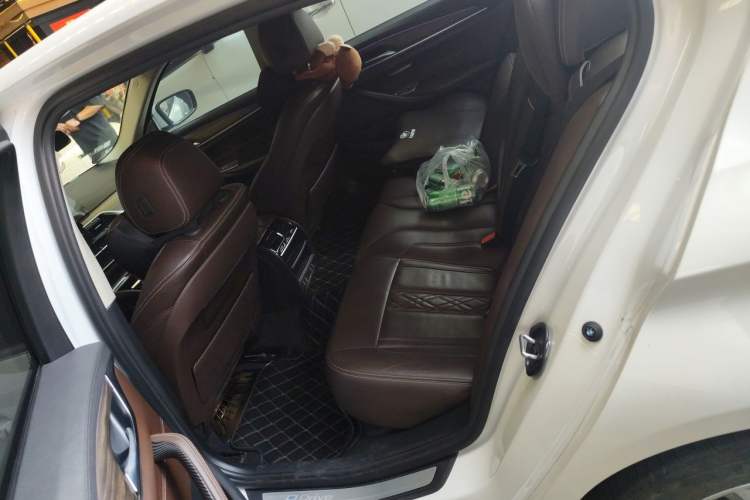 Used BMW 5 Series New Energy 2019 530Le Luxury Package Left Rear Seat