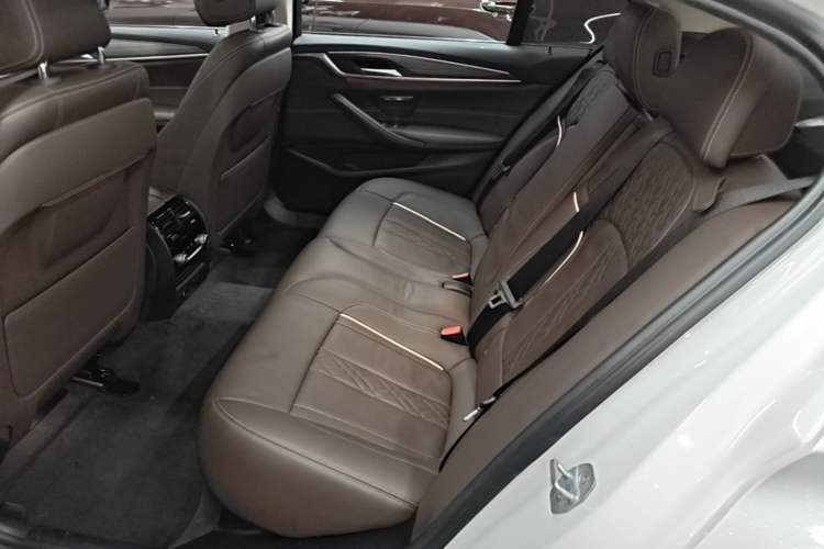 Used BMW 5 Series New Energy 2019 530Le Luxury Package Left Rear Seat