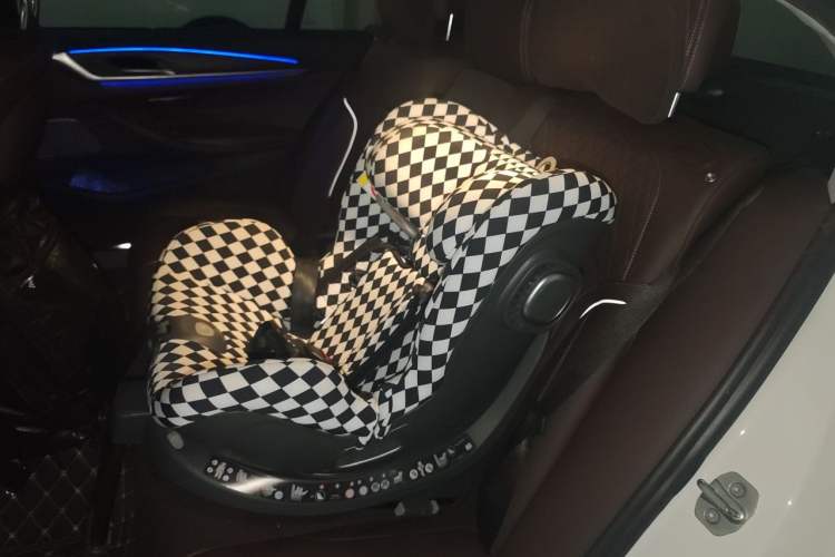 Used BMW 5 Series New Energy 2019 Updated 530Le Pioneer Edition Left Rear Seat