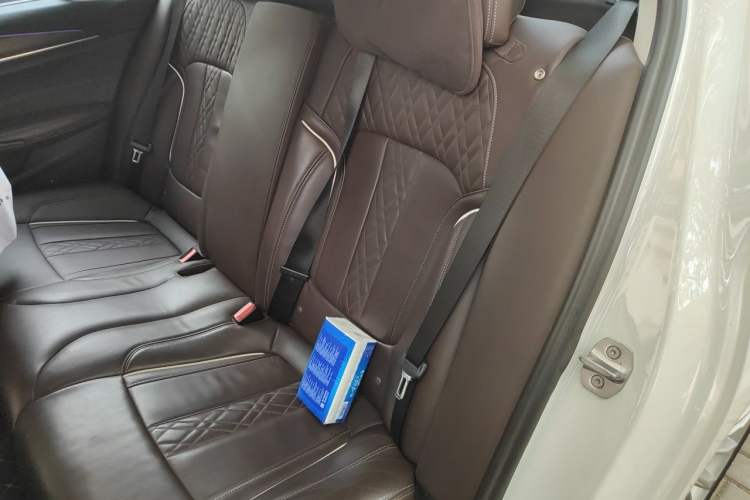 Used BMW 5 Series New Energy 2019 Updated Version 530Le Luxury Package Left Rear Seat