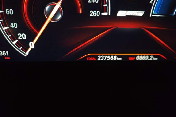Used BMW 5 Series New Energy 2019 530Le Luxury Package Odometer Close Up
