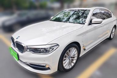 Used BMW 5 Series New Energy 2019 Updated Version 530Le Luxury Package