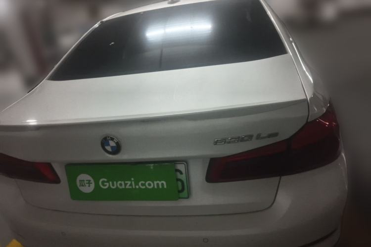 Used BMW 5 Series New Energy 2019 Updated Version 530Le Luxury Package Rear