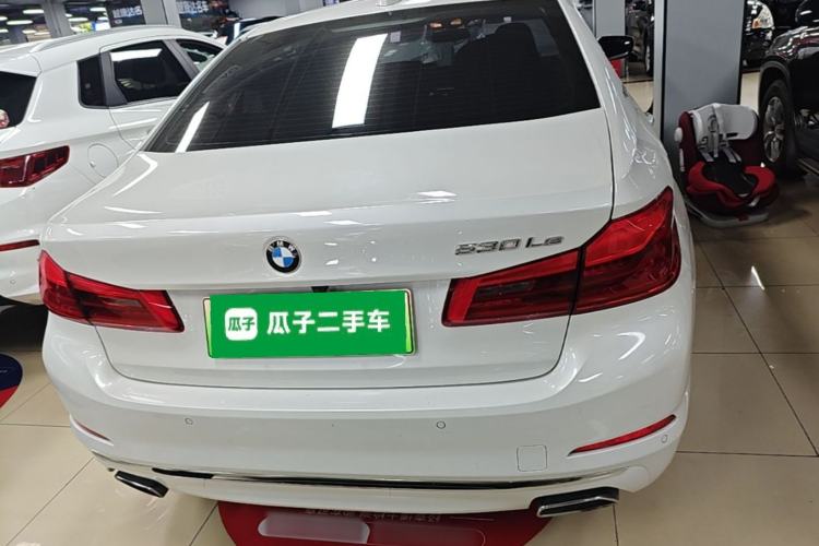 Used BMW 5 Series New Energy 2019 530Le Luxury Package Rear