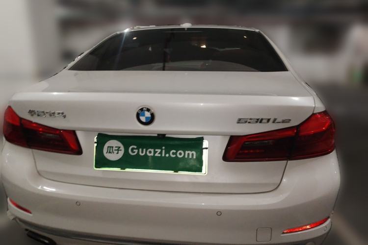 Used BMW 5 Series New Energy 2019 530Le Luxury Package Rear