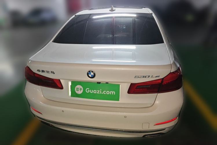 Used BMW 5 Series New Energy 2019 530Le Luxury Package Rear