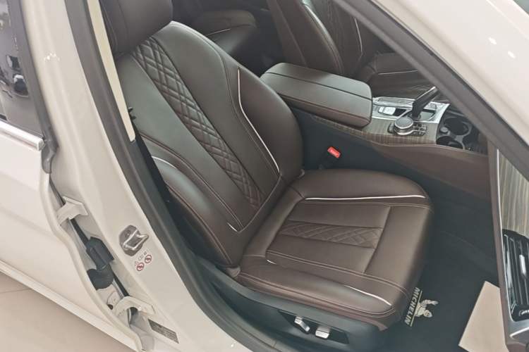 Used BMW 5 Series New Energy 2019 Updated Version 530Le Luxury Package Right Front Seat
