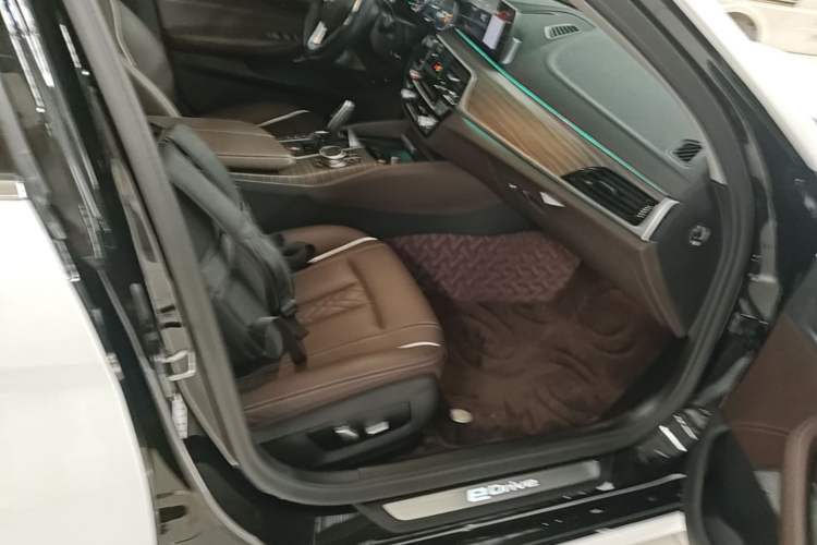 Used BMW 5 Series New Energy 2019 Updated Version 530Le Luxury Package Right Front Seat