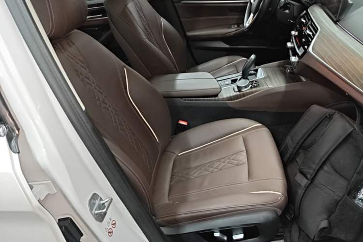 Used BMW 5 Series New Energy 2019 530Le Luxury Package Right Front Seat